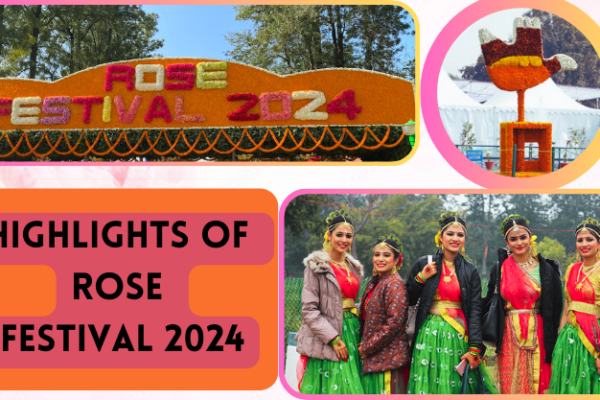 Highlights of Rose Festival 2024