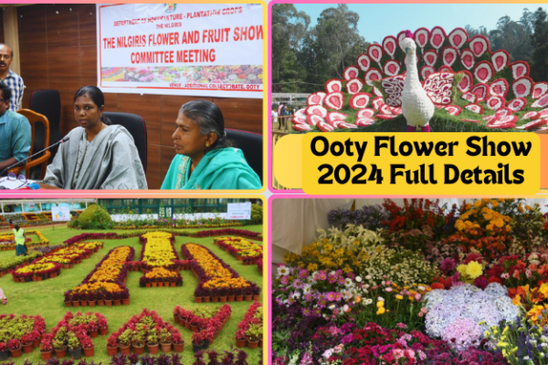 Ooty Flower Show 2024