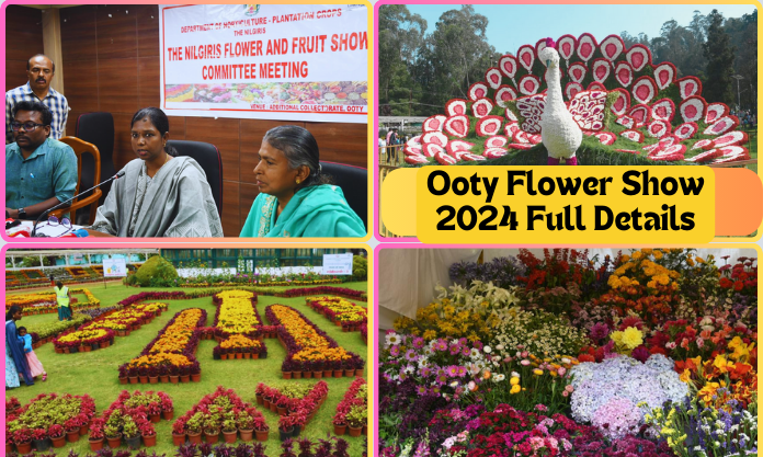 Ooty Flower Show 2024